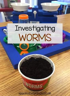 an ice cream cup sitting on top of a wooden table with the words investigating worms