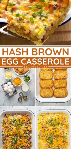 Hash Brown Egg Casserole Hash Brown Egg Casserole, Brown Egg, Best Breakfast Casserole, Breakfast Casserole Easy, Egg Casserole, Hash Brown, Hash Browns, Breakfast Meal Prep, Breakfast Recipes Casserole