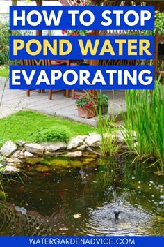 pond water evaporating with the words how to stop pond water evaporating