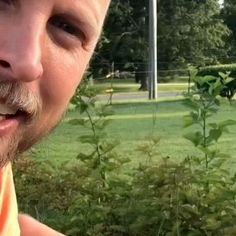 a close up of a person in a park with trees and bushes behind him smiling