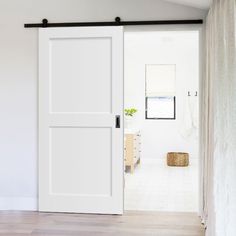 Wood 2 Panel Barn Door