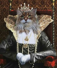 a cat wearing a costume sitting in a chair with pearls on it's head