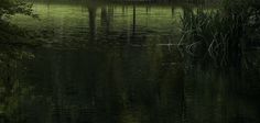 an image of a boat in the water with trees and grass around it at night