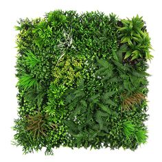 the top view of a green wall with plants and foliage on it, isolated against a white background