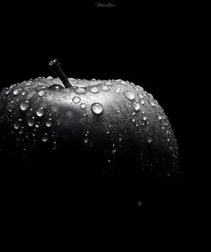 black and white photograph of an apple with water droplets