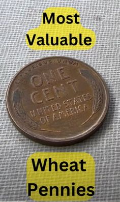 valuable wheat pennies worth money Pennies Worth Money, Silver Coins Worth, How To Clean Pennies, Coin Errors, Moonshine Whiskey, Copper Pennies