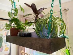 some plants that are hanging from a shelf