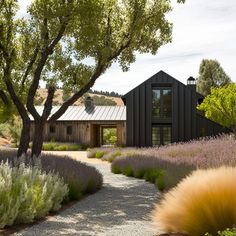 the house is surrounded by lavenders and trees, along with a gravel path leading to it