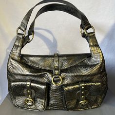 Charlie Lapson Shoulder Bag. Magnetic Closure, Two Front Pockets. Condition: Open Item/Never Used Color: Snake Metallic Formal Metallic Silver Shoulder Bag With Silver-tone Hardware, Metallic Rectangular Bag With Metal Hardware, Travel Shoulder Bag With Silver-tone Hardware In Metallic, Metallic Shoulder Bag With Silver-tone Hardware For Everyday, Metallic Shoulder Bag With Silver-tone Hardware For Travel, Formal Silver Shoulder Bag With Gold-tone Hardware, Metallic Bags With Silver-tone Hardware, Silver Rectangular Bag With Magnetic Closure, Rectangular Silver Bag With Magnetic Closure