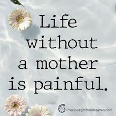 the words life without a mother is painful on a white background with daisies in water