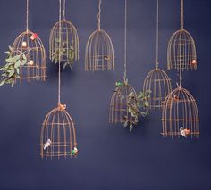 several bird cages with plants hanging from them