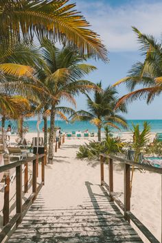 a wooden walkway leading to the beach with palm trees