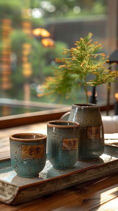 three tea cups on a tray with a potted plant in the middle and another cup next to it