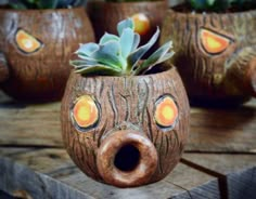 some potted plants are sitting on top of wooden planks with holes in them