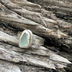 a silver ring sitting on top of a piece of driftwood next to a tree