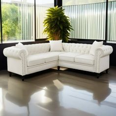 a white couch sitting in front of a window next to a green potted plant