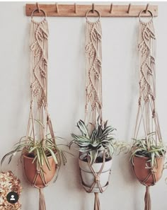 three hanging planters with plants in them on a white wall next to a potted plant