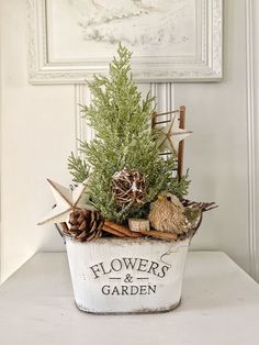 a potted plant sitting on top of a white table