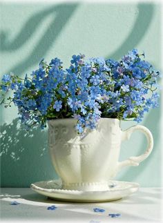 blue flowers are in a white cup on a saucer with the words, buon venerdi