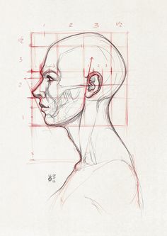 a drawing of a man's head and neck with lines drawn on the paper