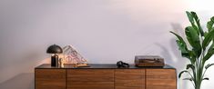 a plant is sitting on top of a dresser next to a lamp and other items