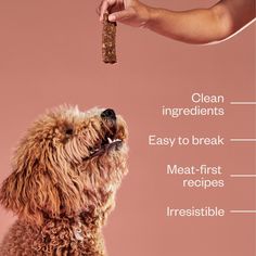 a dog is eating out of its owner's hand with the words, clean ingredients easy to break meat first recipes irresistiblely