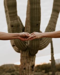 two people holding hands in front of a cactus