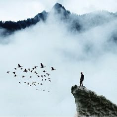 a man standing on top of a cliff surrounded by birds