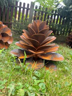 two rusty pine cones sitting in the grass