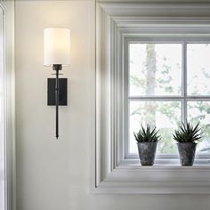 two potted plants sit on the window sill in front of a white wall