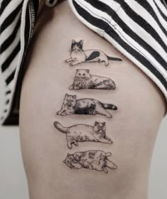 a woman's thigh with four cats on it and one cat laying next to the other