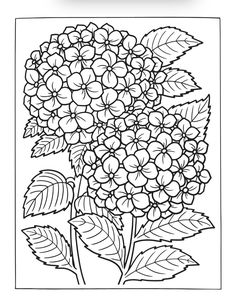 a black and white drawing of flowers with leaves