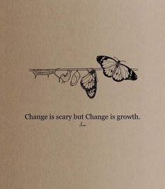 a book with an image of two butterflies on it and the words change is scary but change is growth