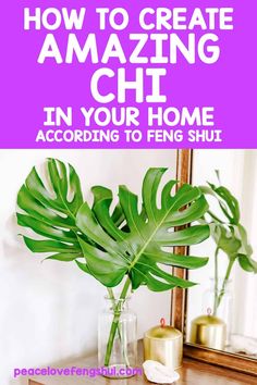 a potted plant sitting on top of a wooden table next to a mirror with text overlay reading how to create amazing chi in your home according to feno