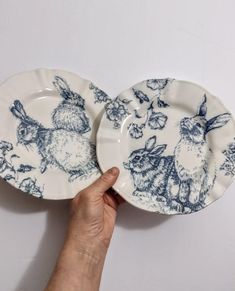 two plates with rabbits on them being held by a person's hand in front of the plate