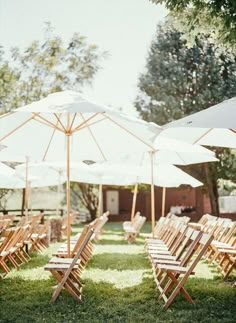 rows of lawn chairs and umbrellas in the grass