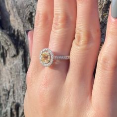 This Listing Includes A Ring Semi Mount Per Package Center Stone Shape:Round Mount dimensions:4.5mm mm Metal Type:14k Gold Metal Purity:14 Metal Color : Yellow And White Metal Weight:3.52 gm Diamond Weight:0.4 Diamond Color:Gh Diamond Clarity:Si2 # of diamonds:52 Style number:RG0794 Ring Size:6.5 Number of Pieces:1 All styles can be made in Yellow Gold, White Gold, or Rose Gold within 6 WEEKS BESTINGEMS IS NOT LIABLE FOR INTERNATIONAL TAXES, TARIFFS, DUTIES, OR INTERNATIONALLY LOST PACKAGES ~ Al Round Halo Ring With Vvs Clarity, 14k White Gold Halo Ring With Vvs Clarity, Gia Certified Round Sapphire Ring, Dazzling Gia Certified Jewelry For Anniversary, Moissanite Jewelry With Halo Setting In Round Band, Gia Certified Round Cut Halo Ring For Anniversary, Heirloom 14k White Gold Jewelry With Halo Setting, Yellow Gold Halo Ring Gift, Yellow Gold Halo Ring As A Gift