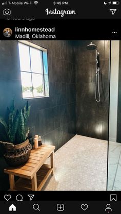 a bathroom with a wooden bench in front of the shower and tiled walls, along with a large potted cacti