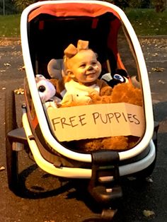 a baby sitting in a stroller with stuffed animals on it's back and a free puppies sign attached to the front