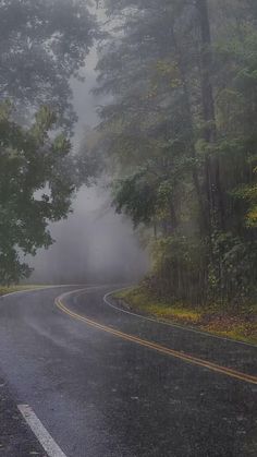 an empty road in the rain with trees on both sides and foggy skies above