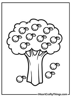 an apple tree with apples on it coloring page