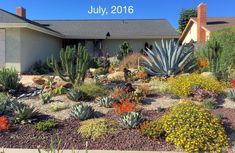 a house with lots of plants in front of it and the words july 2016 written on top