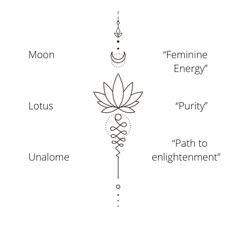 the four main elements in an enlightening energy flow, including lotus, lotus flower, and chakra