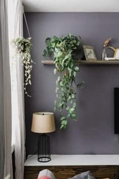 a living room filled with furniture and a plant hanging on the wall next to a flat screen tv