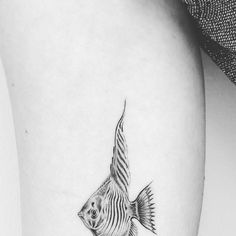 a black and white photo of a fish on the thigh