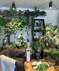 a living room filled with lots of green plants