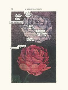 an image of two roses with words written on them and one is in the shape of a brain