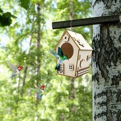 several birds flying around a bird house on a tree