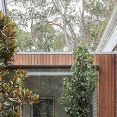 an outdoor area with wooden walls and green plants on the outside, along with large windows