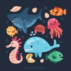 various sea animals are grouped together on a dark background